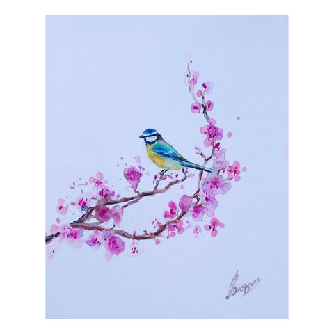 Blue Tit, Cherry Blossom - Signed Print