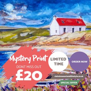 MYSTERY PRINT SPECIAL OFFER